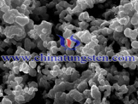 SEM Mikrograp ng Tungsten karbid Powder