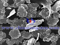 SEM Micrograph of Tungsten Powder