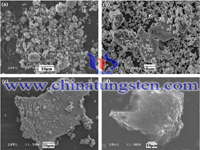 Tungsten Tozunun SEM Mikrografeti