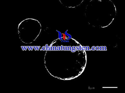SEM of Spherical Tungsten Powder