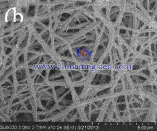 氧化钨纳米管电镜照片