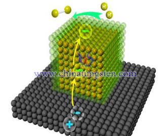 WO3 Photocatalyst