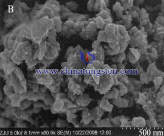 WO3 Thin Film Electrode SEM