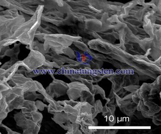 Tungsten Disulfide SEM