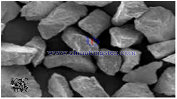 Cast Tungsten Carbide Powder SEM