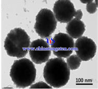 磷钨酸铯颗粒电镜图