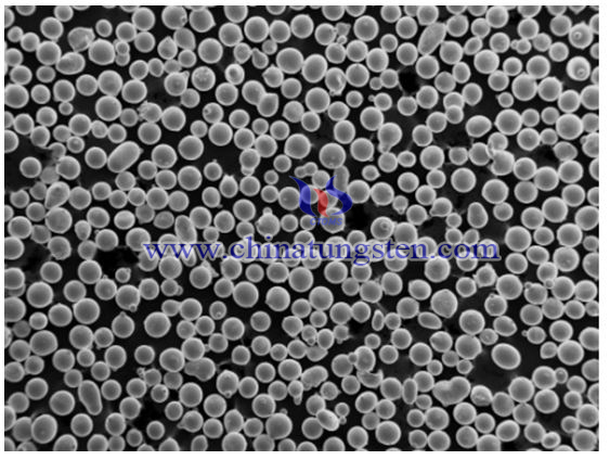 Composite Tungsten Carbide Thermal Spray Powder SEM