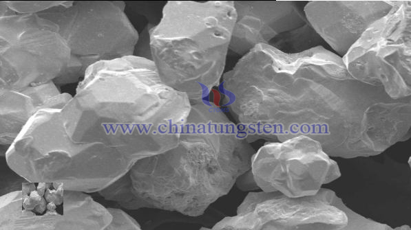 Crystalline Tungsten Powder SEM Photo