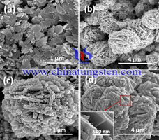 different molar ratio of MA W of tungsten oxide polymorph