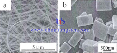 水熱合成不同形貌的三氧化鎢粉體