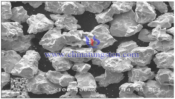 單晶碳化鎢粉SEM