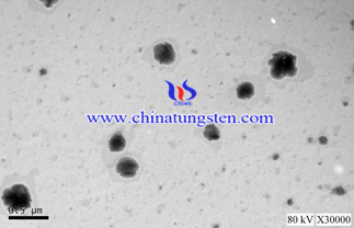 Sữa giảm Sốt Phosphotungstic Acid SEM