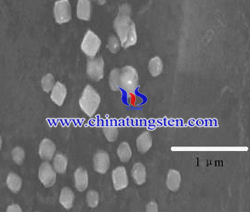 Hình ảnh nano bạc phosphotungstate