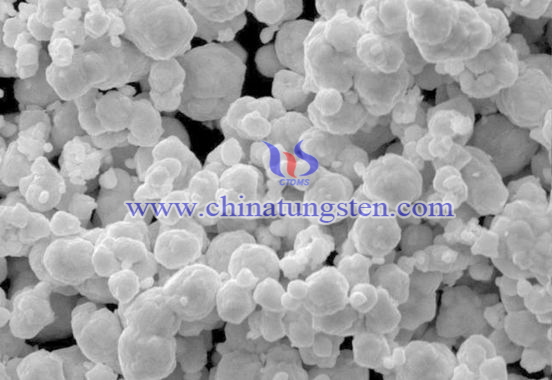 nano tungsten carbide powder SEM photo