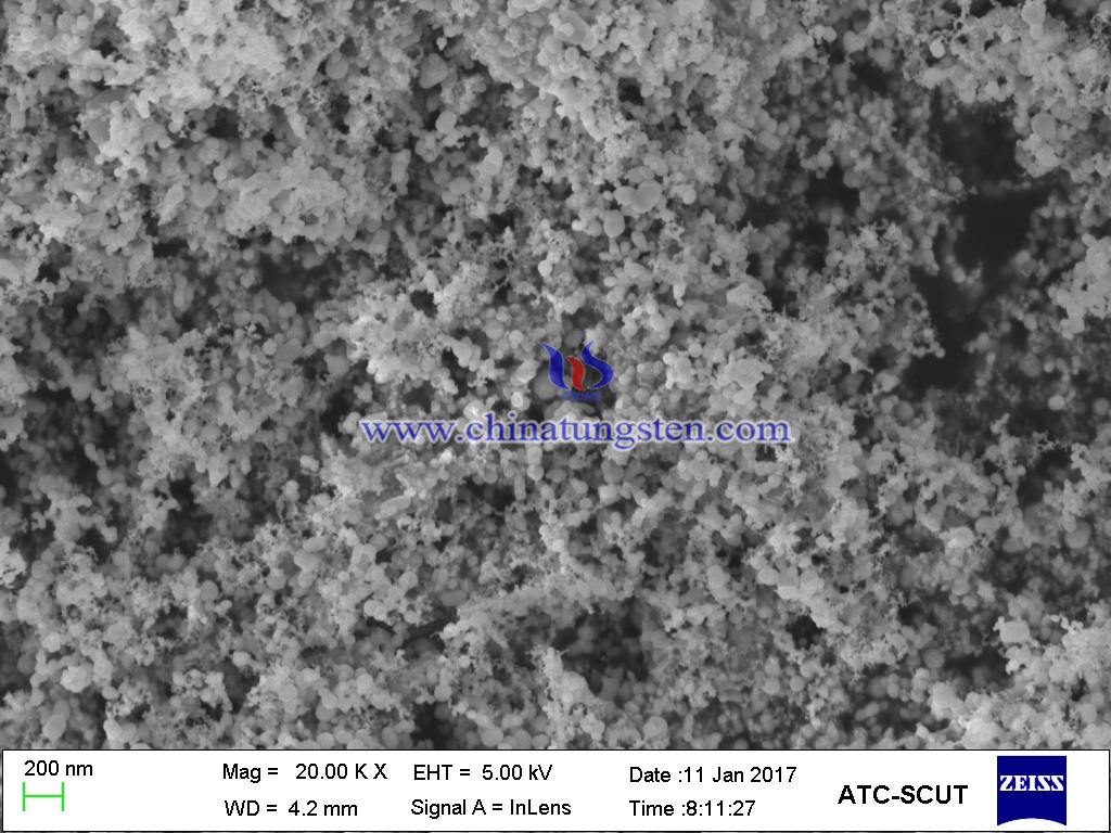 nano tungsten powder SEM