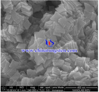 nano bismuth tungstate SEM