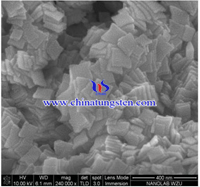 Nano bismuto tungstate SEM