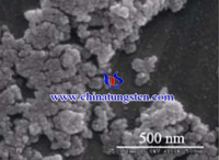 Phosphorus Tungsten Heteropoly Acid Catalyst SEM