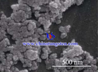 Fosforo tungsteno Heteropoly Acid Catalyst SEM