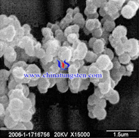 phosphotungstic กรด SEM