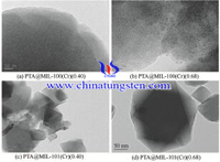 phosphotungstic اسید SEM