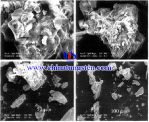 Silicium tungstène hétéropoly acide SEM