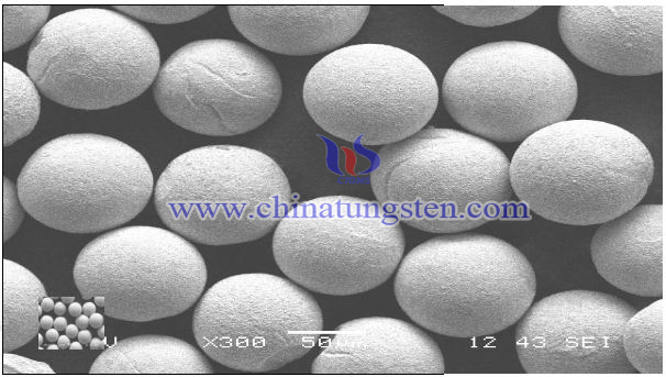 球形鑄造碳化鎢粉SEM