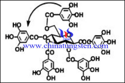 Estrutura molecular dos taninos