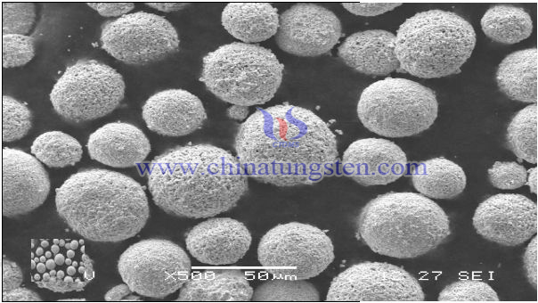 喷涂粉WC-Co-Cr烧结料SEM