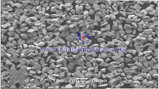 thermal spray powder WC-Co-Cr crushed SEM