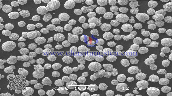 thermal spray powder WC-Co agglomerated SEM