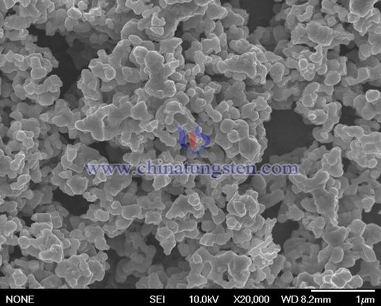 tungsten carbide powder SEM