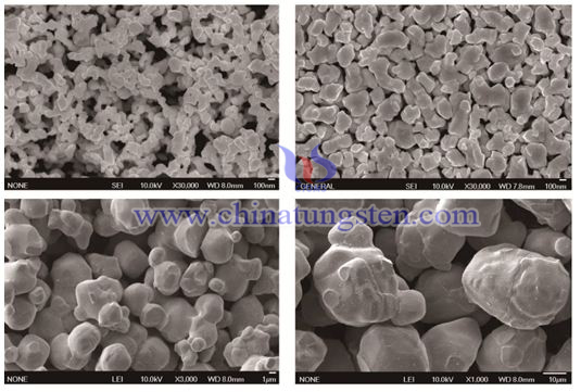 tungsten carbide powder SEM photo