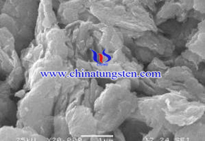 tungsten disulfide nanoparticle electron micrograph tungsten disulfide nanoparticle electron micrograph