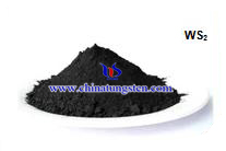 Tungsteno Disulfide Polvere Immagine