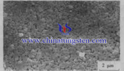 tungsten oxide film SEM photo tungsten oxide film SEM photo