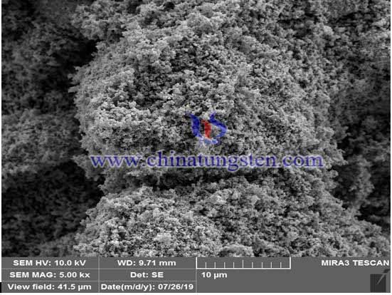 順逆氫回轉爐生產的鎢粉SEM