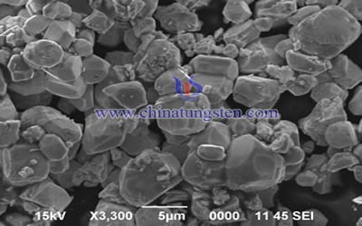 Tungsten Powder SEM