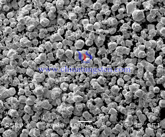 SEM of tungsten powder